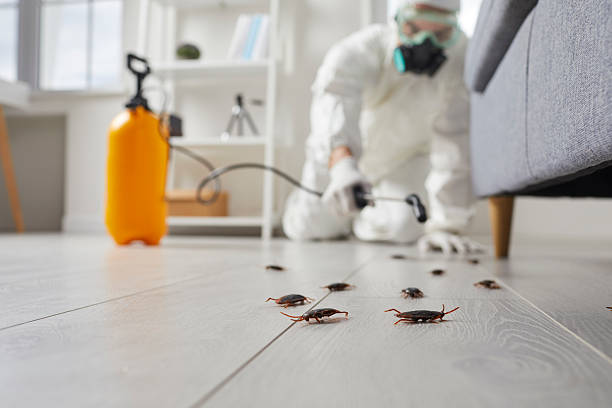 Commercial Rodent Management in Forest Hills